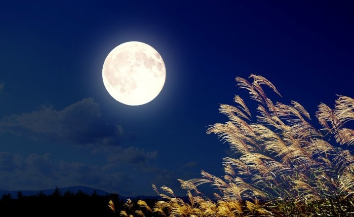 Tóm tắt Ánh trăng hay, ngắn gọn (5 mẫu) (ảnh 1)