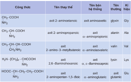 Lý thuyết Amino axit  | Hóa học lớp 12 (ảnh 1)