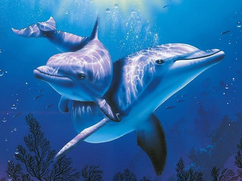Lý thuyết Đa dạng của lớp thú, Bộ dơi, Bộ cá voi | Sinh học lớp 7 (ảnh 1)