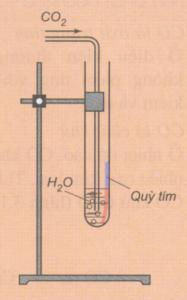 Lý thuyết Hóa 9 Bài 28: Các oxit của cacbon | Hóa học lớp 9 (ảnh 1)