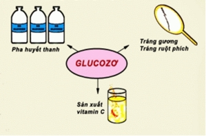 Lý thuyết Hóa 9 Bài 50: Glucozơ | Hóa học lớp 9 (ảnh 1)