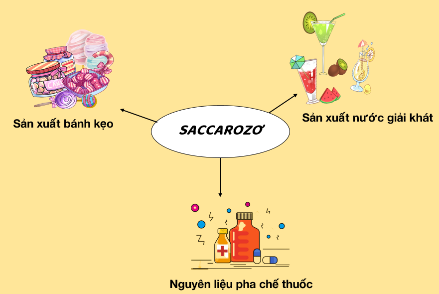 Sucrose là gì Nguồn gốc các tính chất vai trò  tác hại khi sử dụng