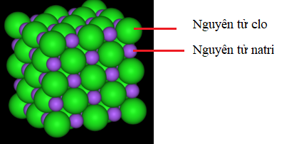 Lý thuyết Hóa 8 Bài 6: Đơn chất và hợp chất – Phân tử | Hóa học lớp 8 (ảnh 1)
