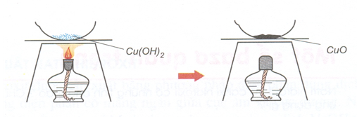 Lý thuyết Hóa 9 Bài 7: Tính chất hóa học của bazơ | Hóa học lớp 9 (ảnh 1)