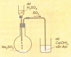 Lý thuyết Hóa 9 Bài 8: Một số bazơ quan trọng | Hóa học lớp 9 (ảnh 1)
