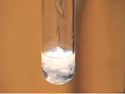 Lý thuyết Hóa 9 Bài 9: Tính chất hóa học của muối | Hóa học lớp 9 (ảnh 1)