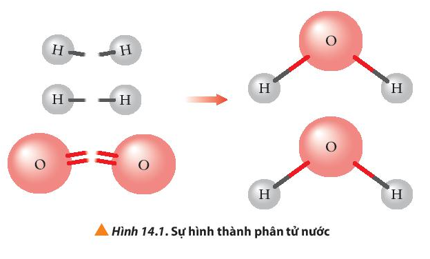 Giải Hóa 10 Bài 14: Tính biến thiên enthalpy của phản ứng hóa học - Chân trời sáng tạo (ảnh 1)