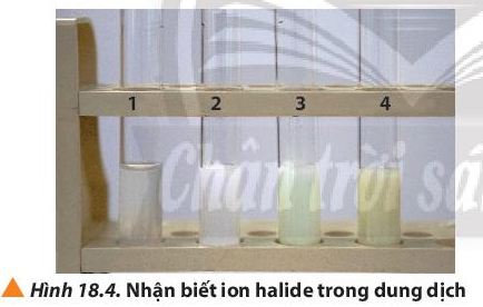 Giải Hóa 10 Bài 18: Hydrogen halide và một số phản ứng của ion halide - Chân trời sáng tạo (ảnh 1)