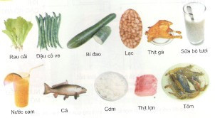 Khoa học lớp 4 Bài 4: Vai trò các chất dinh dưỡng có trong thức ăn. Vai trò của chất tinh bột (ảnh 1)