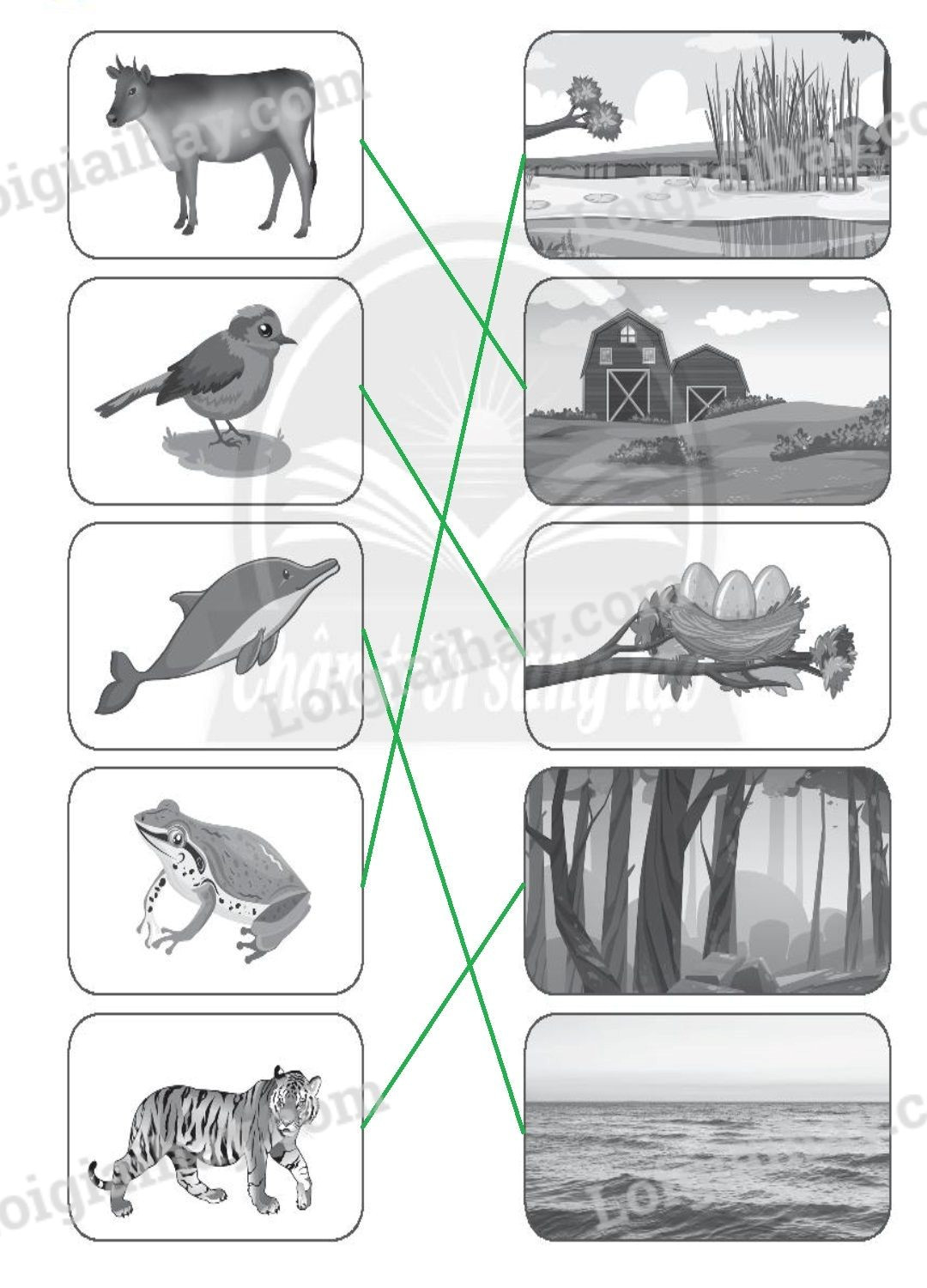 Giải Vở bài tập Tự nhiên và xã hội lớp 2 Bài 15: Động vật sống ở đâu trang 45, 46, 47 – Chân trời sáng tạo (ảnh 1)