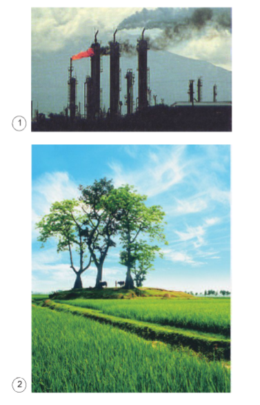 Khoa học lớp 4 Bài 39: Không khí bị ô nhiễm (ảnh 1)