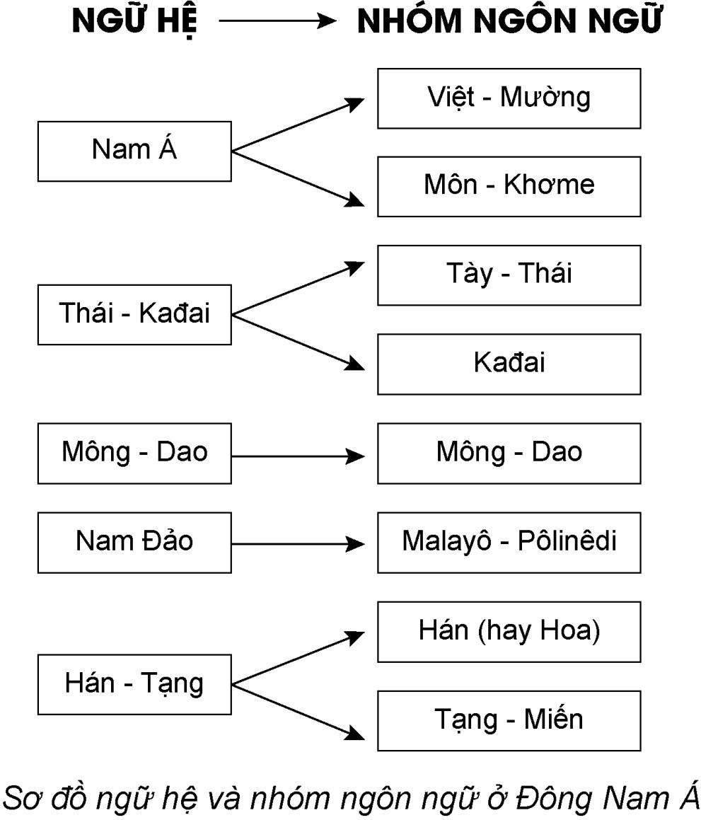 Giải Lịch sử 10 Bài 13: Đời sống vật chất và tinh thần của cộng đồng các dân tộc Việt Nam - Kết nối tri thức (ảnh 1)