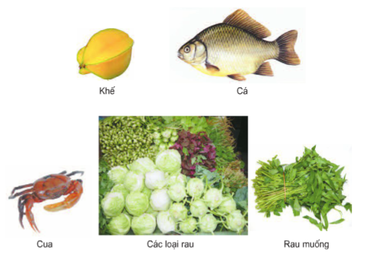 Khoa học lớp 4 Bài 6: Vai trò của vitamin, chất khoáng và chất xơ (ảnh 1)