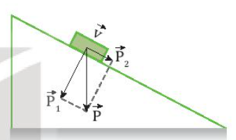 Giải Vật lí 10 Bài 13: Tổng hợp và phân tích lực. Cân bằng lực - Kết nối tri thức (ảnh 1)