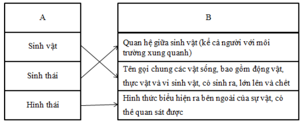 Vở bài tập Tiếng Việt lớp 5 trang 81, 82 Luyện từ và câu - Mở rộng vốn từ: Bảo vệ môi trường  (ảnh 1)