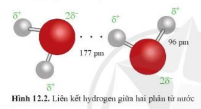 Giải Hóa 10 Bài 12: Liên kết hydrogen và tương tác Van Der Waals - Cánh diều (ảnh 1)