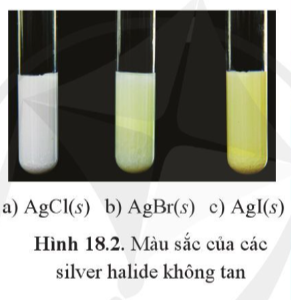 Giải Hóa 10 Bài 18: Hydrogen halide và hydrohalic acid - Cánh diều (ảnh 1)