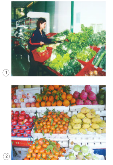 Khoa học lớp 4 Bài 10: Ăn nhiều rau và quả chín. Sử dụng thực phẩm sạch và an toàn (ảnh 1)