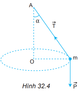 Giải Vật lí 10 Bài 32: Lực hướng tâm và gia tốc hướng tâm - Kết nối tri thức (ảnh 1)