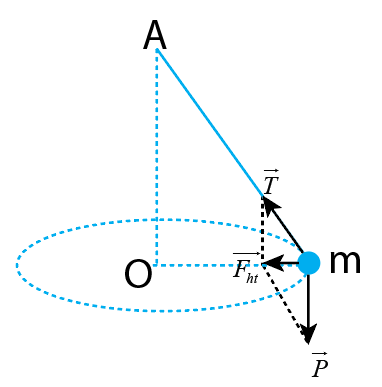 Giải Vật lí 10 Bài 32: Lực hướng tâm và gia tốc hướng tâm - Kết nối tri thức (ảnh 1)
