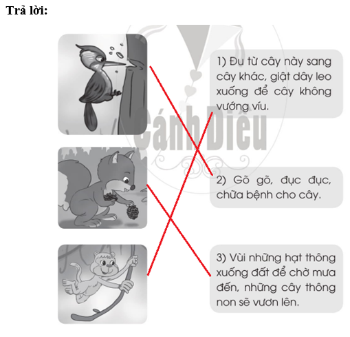 Vở bài tập Tiếng Việt lớp 2 trang 30, 31, 32, 33, 34, 35 Bài 26: Muôn loài sống chung – Cánh diều (ảnh 1)