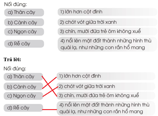 Vở bài tập Tiếng Việt lớp 2 trang 35, 36, 37, 38, 39 Bài 27: Ôn tập giữa học kì 2 – Cánh diều (ảnh 1)