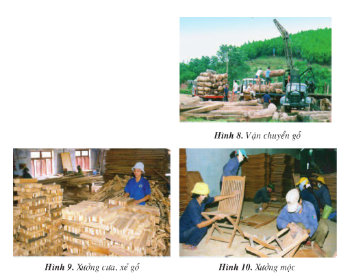 Địa lí lớp 4 Bài 8: Hoạt động sản xuất của người dân ở Tây Nguyên (Tiếp theo) (ảnh 1)