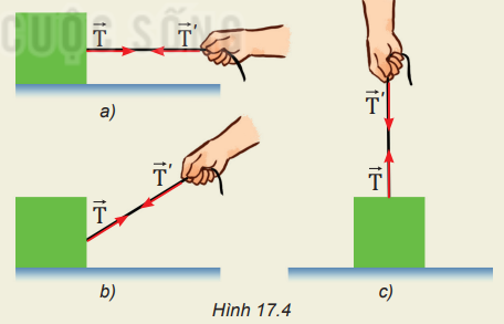 Giải Vật lí 10 Bài 17: Trọng lực và lực căng - Kết nối tri thức (ảnh 1)