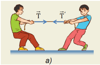 Giải Vật lí 10 Bài 17: Trọng lực và lực căng - Kết nối tri thức (ảnh 1)