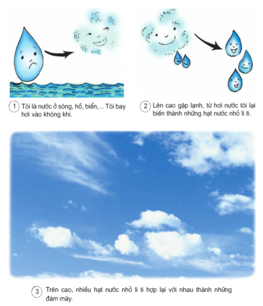 Khoa học lớp 4 Bài 22: Mây được hình thành như thế nào? Mưa từ đâu ra? (ảnh 1)