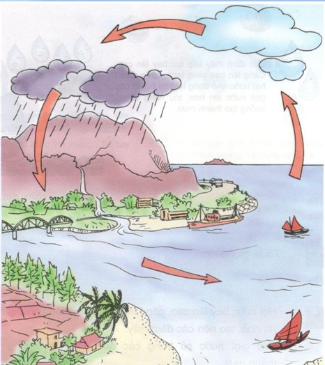 Khoa học lớp 4 Bài 23: Sơ đồ vòng tuần hoàn của nước trong tự nhiên (ảnh 1)