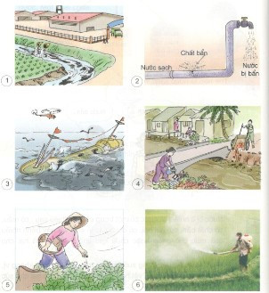 Khoa học lớp 4 Bài 26: Nguyên nhân làm nước bị ô nhiễm (ảnh 1)