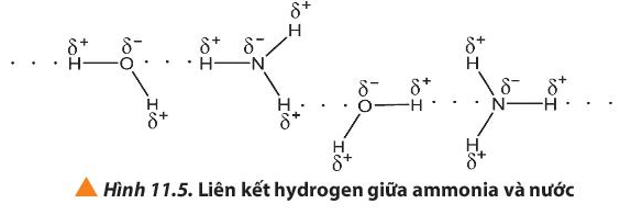 Giải Hóa 10 Bài 11: Liên kết hydrogen và tương tác van der Waals - Chân trời sáng tạo (ảnh 1)