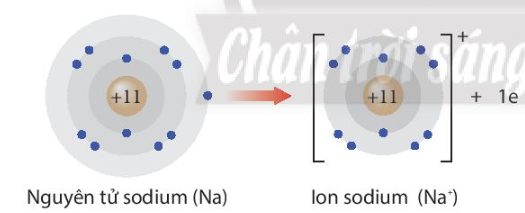 Giải Hóa 10 Bài 6: Xu hướng biến đổi một số tính chất của nguyên tử các nguyên tố, thành phần và một số tính chất của hợp chất trong một chu kì và nhóm - Chân trời sáng tạo (ảnh 1)
