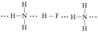 Giải Hóa 10 Bài 13: Liên kết hydrogen và tương tác Van der waals - Kết nối tri thức (ảnh 1)