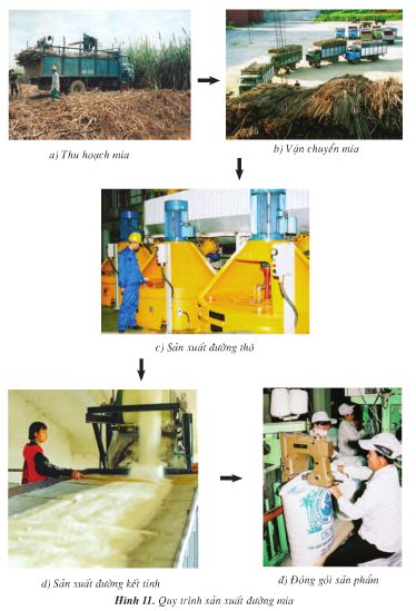 Địa lí lớp 4 Bài 26: Người dân và hoạt động sản xuất ở đồng bằng Duyên hải miền Trung (Tiếp theo) (ảnh 1)