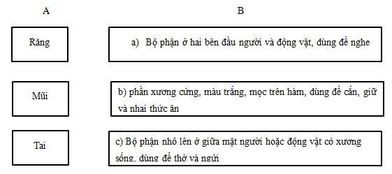Vở bài tập Tiếng Việt lớp 5 trang 41, 42, 43 Luyện từ và câu - Từ nhiều nghĩa (ảnh 1)