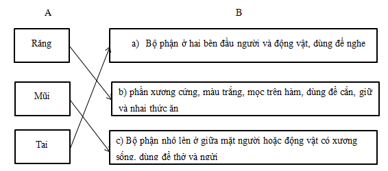 Vở bài tập Tiếng Việt lớp 5 trang 41, 42, 43 Luyện từ và câu - Từ nhiều nghĩa (ảnh 1)