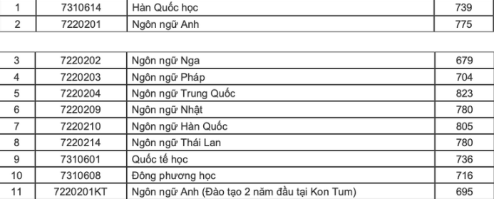 Đại học Ngoại ngữ - Đại học Đà Nẵng (DDF) (ảnh 1)