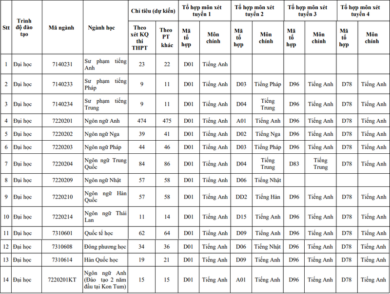 Đại học Ngoại ngữ - Đại học Đà Nẵng (DDF) (ảnh 1)