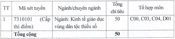 Học viện Dân tộc (HVD) (ảnh 1)