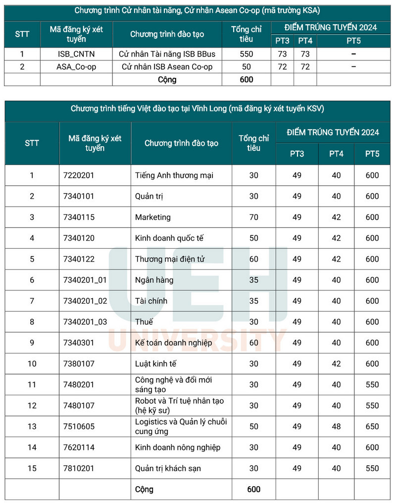 Đại học Kinh tế TP. HCM (KSA) (ảnh 2)