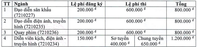 Đại học Sân khấu – Điện ảnh TP HCM (DSD) (ảnh 1)