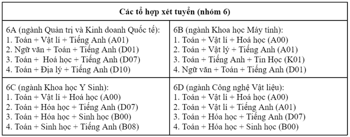 Viện nghiên cứu và đào tạo Việt - Anh (Đại học Đà Nẵng) (DDV) (ảnh 1)