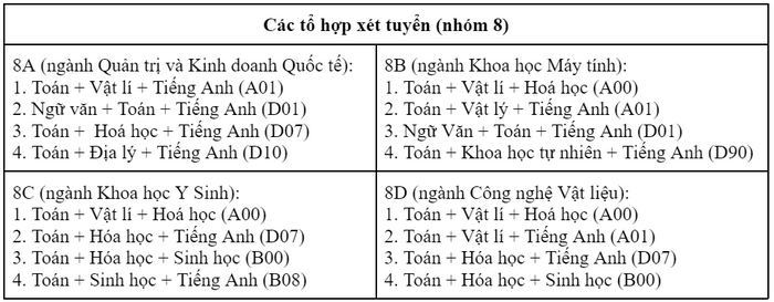 Viện nghiên cứu và đào tạo Việt - Anh (Đại học Đà Nẵng) (DDV) (ảnh 1)