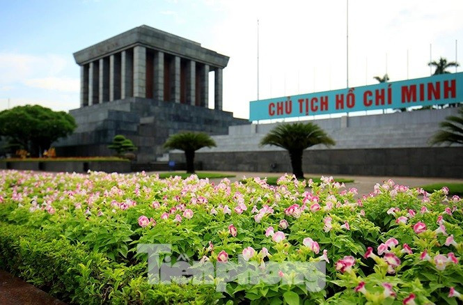 TOP 4 mẫu Tả cây hoa bên lăng chủ tịch Hồ Chí Minh (2024) SIÊU HAY (ảnh 1)