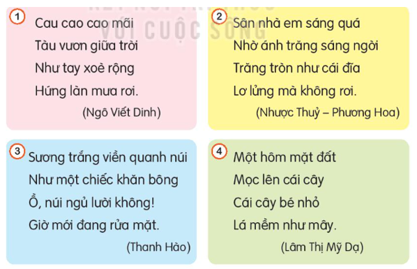 Tiếng Việt lớp 3 Tập 1 Bài 24: Bạn nhỏ trong nhà – Kết nối tri thức (ảnh 1)