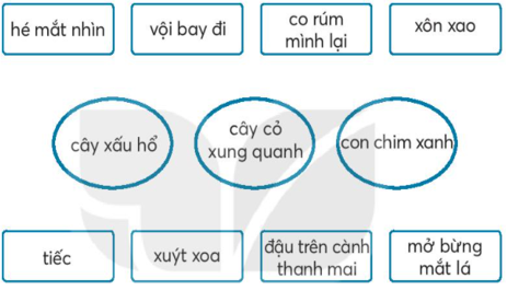 Vở bài tập Tiếng Việt lớp 2 trang 16, 17 Bài 7: Cây xấu hổ lớp 2 – Kết nối tri thức (ảnh 1)