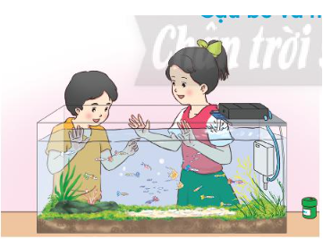 Tiếng Việt lớp 3 Tập 2 Bài 1: Cậu bé và mẩu san hô – Chân trời sáng tạo (ảnh 1)