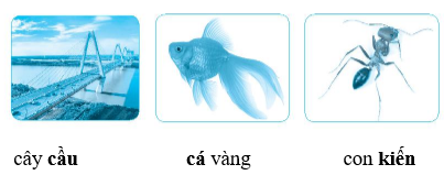 Vở bài tập Tiếng Việt lớp 2 trang 5, 6, 7 Bài 2: Mùa nước nổi lớp 2 – Kết nối tri thức (ảnh 1)